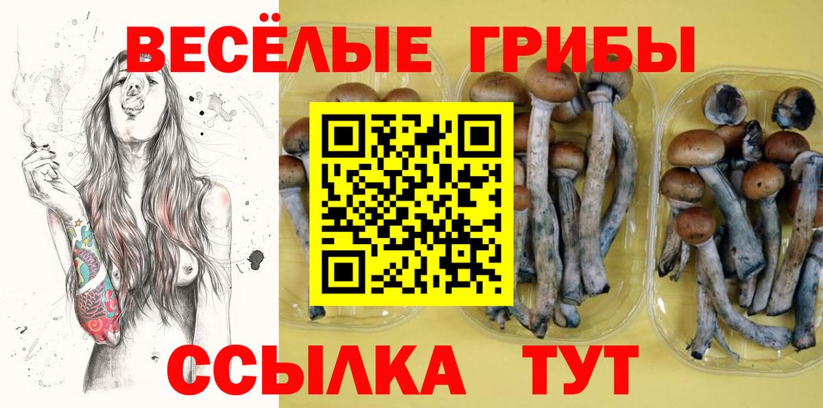 Галлюциногенные грибы Magic Shrooms  Вход с VPN  Северобайкальск  где купить наркоту  Псилоцибиновые грибы мицелий 